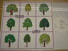 TREES   LIVE   GARDEN OF JANE   ON THE SHORE   ACID FOLK PSYCH FEMVOX ITALIAN LP