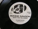 Ronnie Dawson Rockabilly 45 7 Nick Curran Ronnie Self Commonwealth Jones CRAMPS