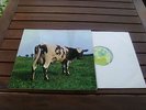 LP PINK FLOYD, ATOM HEART MOTHER, HARVEST / HÖR ZU, SHZE 297, 