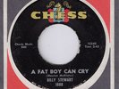 N.SOUL CLASS 45 - BILLY STEWART - A FAT BOY CAN CRY -CHESS