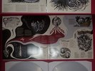 AHAB - The Giant DLP, band edition in clear vinyl,lim. 150 units,Opeth,Katatonia