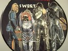 THE SWEET schöne Picture Disc Single Teenage Rampage  tolle Motive 
