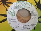 AUGUSTUS PABLO BARRY REID REGGAE GONE INTERNATIONAL RARE ROCKERS 7