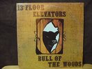 13th Floor Elevators
