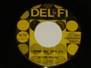 RITCHIE VALENS Come on,Let's go DEL-FI 4106 Orig Yellow Label 1st Pressing 45rpm