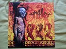 NILE Amongst The Catacombs Of Nephren-Ka death metal LP