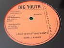 Sowell Radics Love Is What She Wants Rare Killer Roots 12
