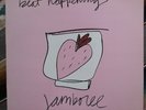 Beat Happening Jamboree LP RARE Promo Copy Rough Trade K Recs Halo Benders