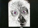 e. a . poe  - generazioni   storia di sempre    LP