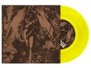 CONVERGE / NAPALM DEATH Split 7