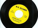 PUNK ROCK The Penetrators -San Diego Untamed Youth / Vengence M.R.51155  45rpm