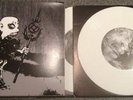 Integrity / Rot in Hell - Split 2 x 7