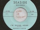 RONNIE LLOYD ? RARE TEEN: Beach Romance   I'm Going Home 45 NM Unplayed