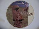 PINK FLOYD - VERY RARE ITALIAN LIVE PICTURE DISC - ROMA 94 - MINT