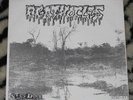 AGATHOCLES/PUTRID OFFALS 7