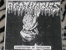 AGATHOCLES Fascination flexi 7