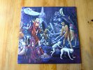 Forest of Equilibrium LP - Cathedral