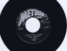 BILL BOWEN - HAVE MYSELF A BALL - RARE 1970s METEOR ROCKABILLY REPRO - 1st PRESS