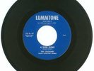 RARE 45 RPM, The Colognes, Lummtone Records 102, VG++ A River Flows/A Bird And