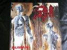 Death Human