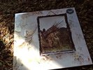 Led Zeppelin Symbols Original Purple Vinyl Beautiful