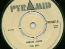 PYRAMID SKA / ROCSKTEADY - MARCUS JUNIOR - SOUL BROS UK PYRAMID Sound Clip