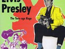 ELVIS PRESLEY -THE TEEN-AGE RAGE - VERY RARE 10