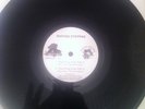 Iration Steppas / Tena Stelin - Locks / Marching 10