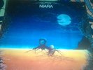Doug Lucas - Niara - RARE Soul Funk on ShadyBrook - funk jazz breaks OG
