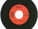 45 RPM, The Swinging Hearts, 620 Records # 1002, How Can I Love You/Spanish Love