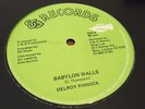 Delroy Pinnock Babylon Walls Killer Roots 12
