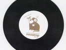 Erick St LAURENT le temps d'y penser 45 monster MOD Steve Aldo freakbeat HEAR ??