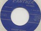 RARE FT WORTH TEXAS FUNK 45 Timmy Simms Count Down Through Changes Panther HEAR