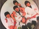 THE BEATLES YESTERDAY AND TODAY LP PICTURE DISC