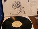 Varela - S/T LP UNPLAYED In Shrink with M- Insert RARE Private Folk Psych