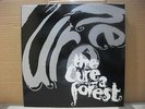 THE Cure ?–  A Forest   ' 12'' VG++ 867 385-1  1990  RAREEEE