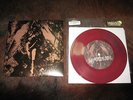 CONVERGE / NAPALM DEATH SPLIT 7