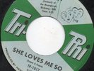 Harvey - She Loves Me So - Original Rare Tri - Phi 7 Inch Single