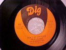 THE DIAMONETTES Don't Be Surprised RARE MIAMI GIRL GROUP DEEP SOUL 45 on DIG