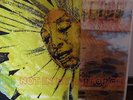 Bob Pollard - Not in My Airforce LP Guided By Voices GBV
