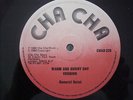 WARM  AND SUNNY DAY  /  BARRINGTON  LEVY  /  orig CHA CHA  12 in  1980