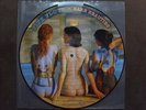 PINK FLOYD..RARE BEAUTIES LP PICTURE DISC