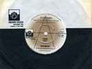 BLONDIE  X OFFENDER / IN THE FLESH PRIVATE STOCK  PROMO PVT 105