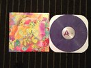 portugal the man RARE coheed edward sharpe florence and the machines deer tick