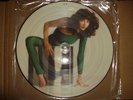 Kate Bush-The Kick Inside Rare Picture Disc