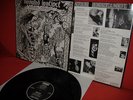 Deviated Instinct - Rock 'n' Roll Conformity LP orig. 88' Heresy Infest Spazz