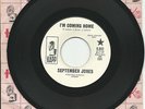 SEPTEMBER JONES - WHITE DEMO