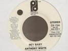 Anthony White Hey Baby