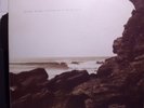 POLYGON WINDOW(APHEX TWIN):SURFING ON SINE WAVES LP IDM