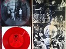 SICK OF IT ALL - S/T 7